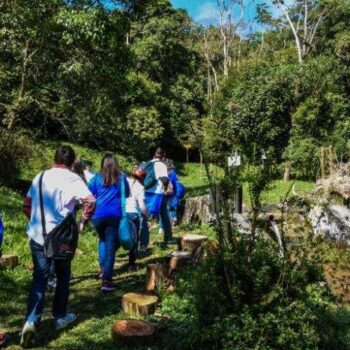 Quer se aventurar? ABCD tem várias trilhas em parques e matas