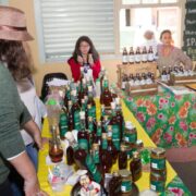 Festival do Cambuci, Pedro Mariano e Orquestra Sinfônica são atrações em Santo André