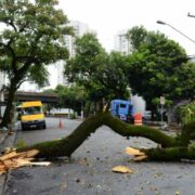 São Bernardo registra 81 acidentes nas chuvas de verão