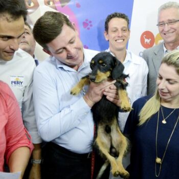 São Bernardo será a 1ª cidade no ABCD a ter hospital veterinário público