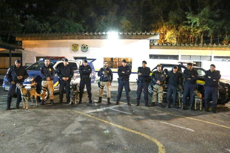 Cães da GCM de S.Caetano acham resíduo de entorpecente em ação da Polícia