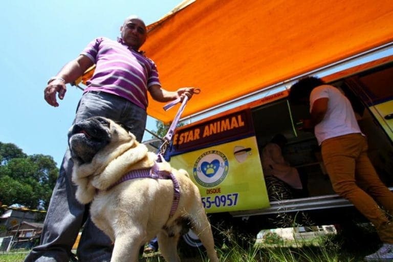 castramóvel
