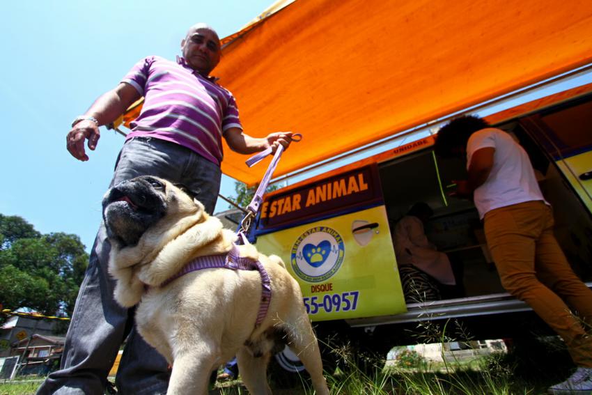 Mauá recebe R$ 120 mil em recursos para compra de Castramóvel 