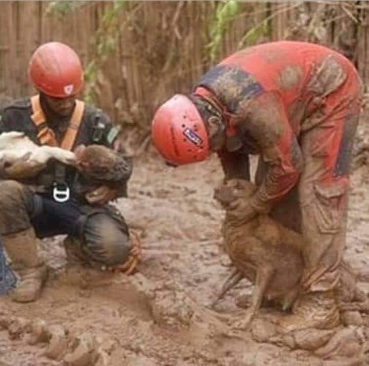 Região do ABCD se mobiliza para ajudar moradores de Brumadinho