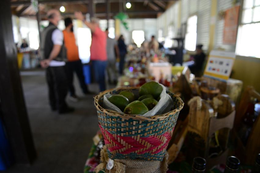 Festival do Cambuci de Paranapiacaba tem concurso gastronômico neste sábado