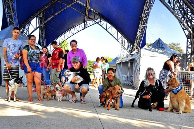 Santo André chega a marca de mil animais adotados na feira de adoção