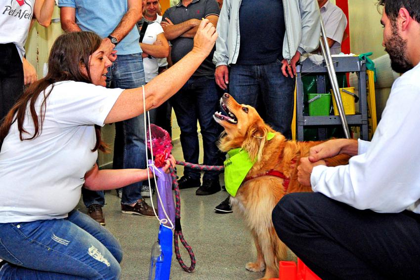 pet terapia