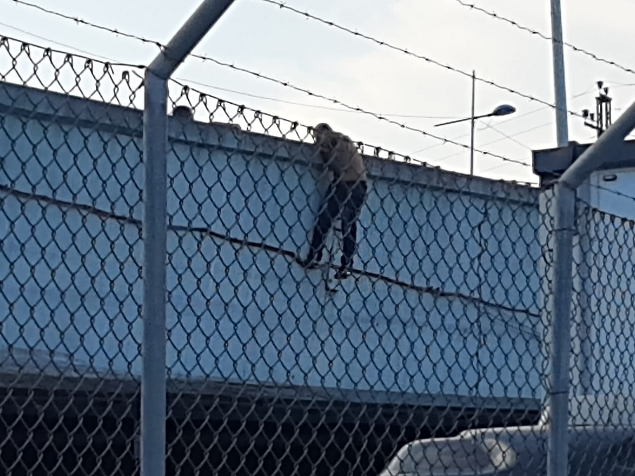 PMs e GCMs salvam vida de homem em viaduto de S.Caetano