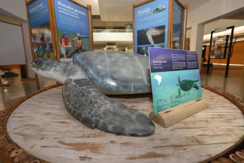 Sabina recebe Exposição Tartarugas Marinhas do Projeto Tamar