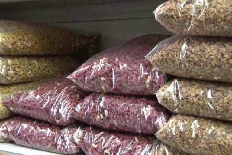 Projeto propõe Banco de Ração para animais em S.Caetano