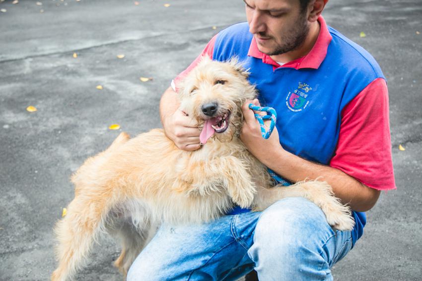 S.Caetano fará no sábado triagem para a 1ª castração no trailer Saúde Animal