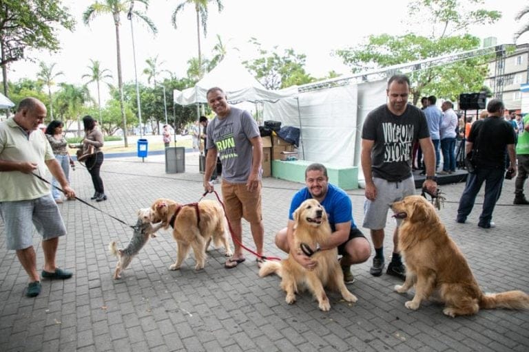 Prefeitura de São Caetano realiza Cãominhada neste domingo