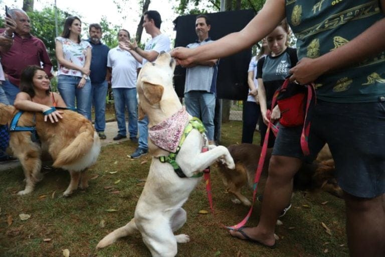 Chácara Pignatari, em Santo André, ganha Pet Parque