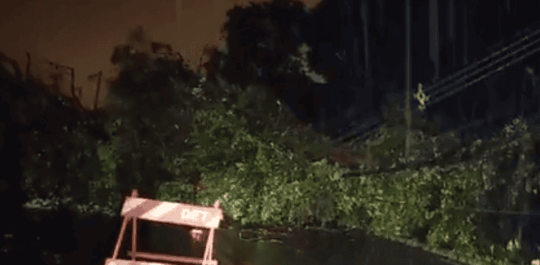 Fortes chuvas derrubam árvore e poste em Sto.André