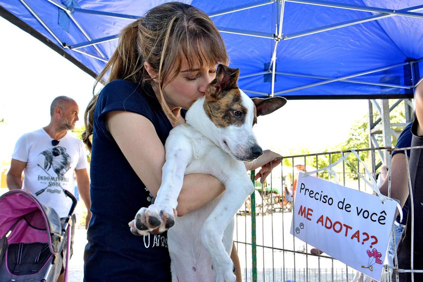 Feira de adoção Moeda Pet acontecem neste domingo em Sto.André