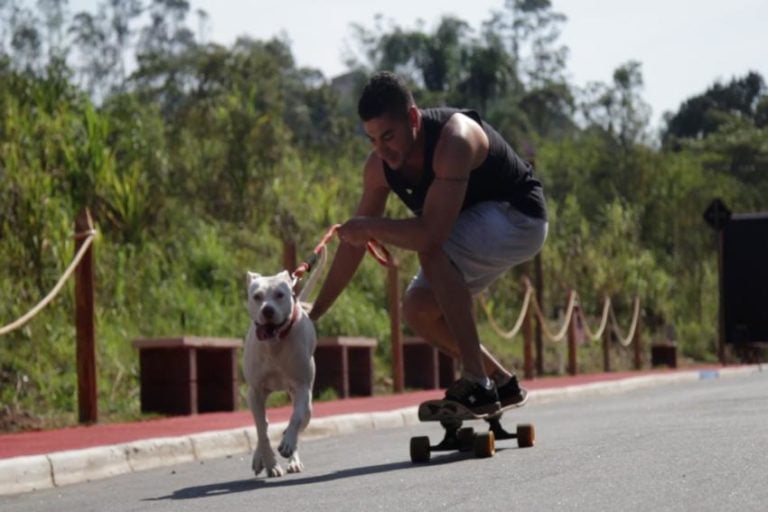 Em Ribeirão Pires, Rua Salvador Ripoli ganha novo espaço para lazer