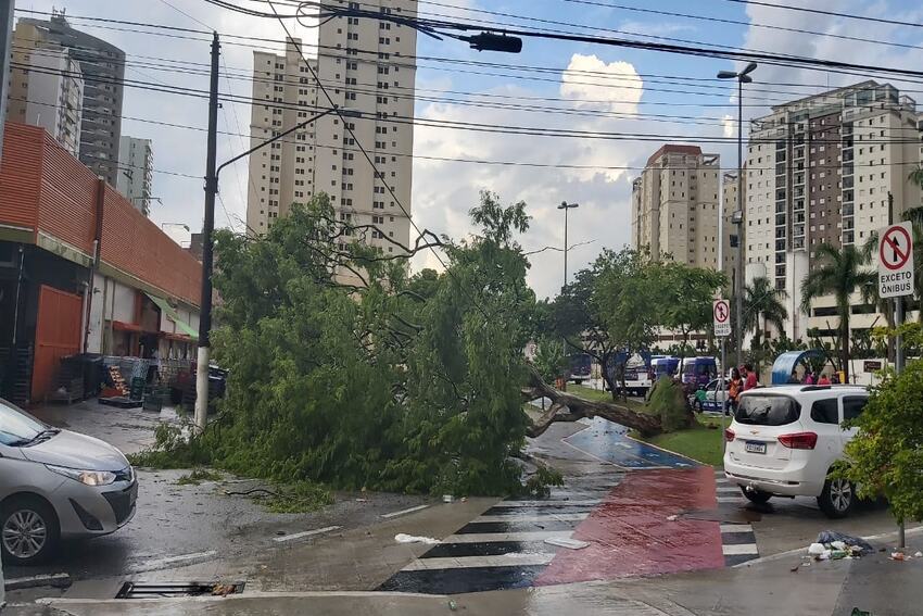 Fortes chuvas, granizo e rajadas de ventos causam estragos no ABCD