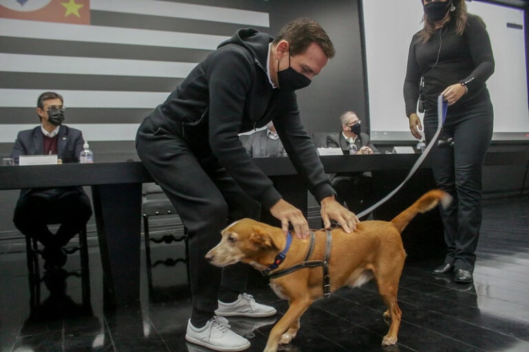Doria anuncia mais oito clínicas veterinárias do programa Meu Pet