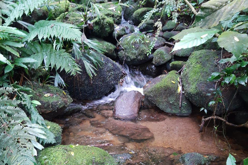 Santo André reabre Trilha da Cachoeira Escondida