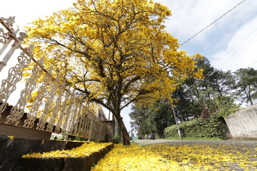 Tchau inverno, olá primavera