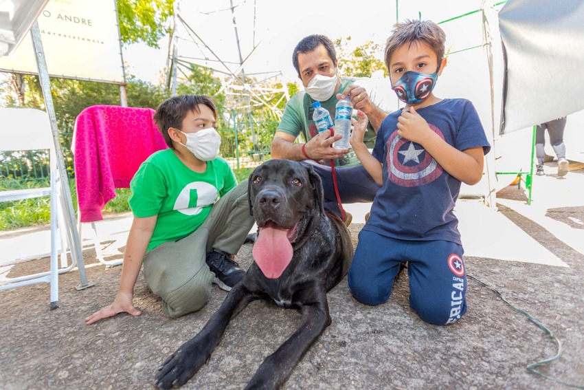 adoção de animais em feira de santo andré