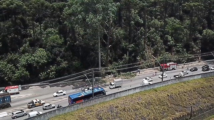 Árvore cai sobre dois funcionários do Parque Guapituba em Mauá