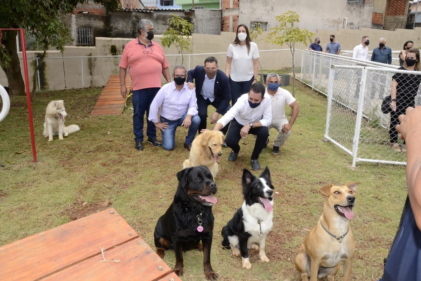 espaço pet