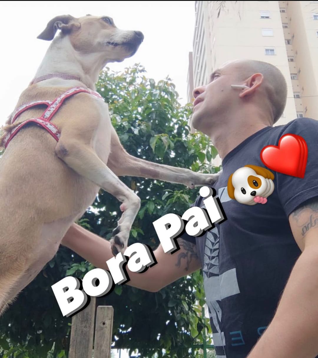 reinaldo e pandora