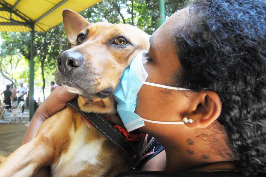 Em Santo André, 28 pets estão em novos lares após feira de adoção