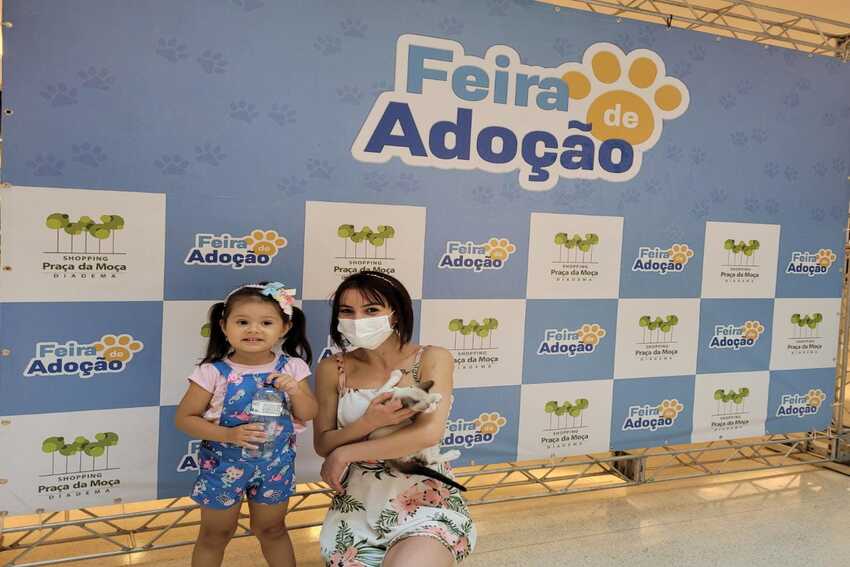 Feira de Adoção de Diadema encontra novo lar para 22 animais