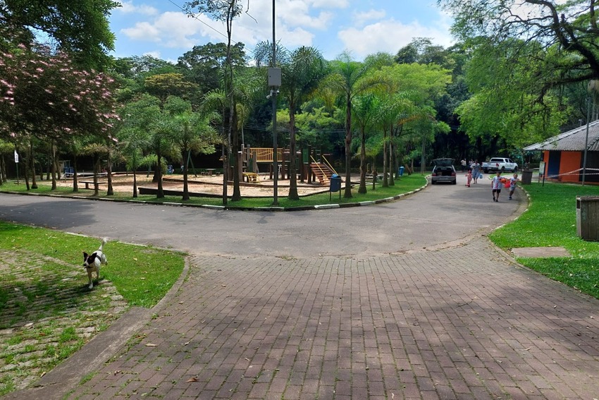 Festival do Cambuci do Parque do Pedroso é opção de passeio neste sábado