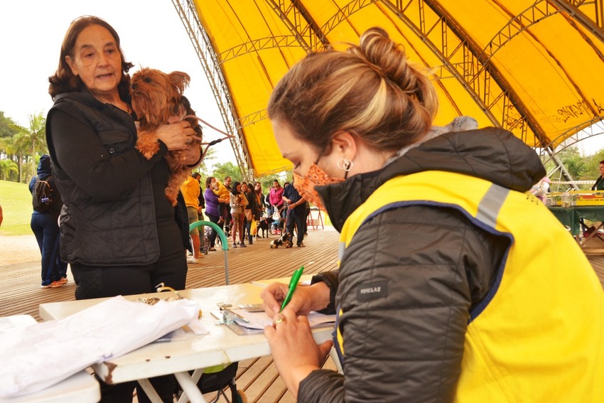 animais em evento de Santo André