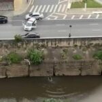 bandido no rio