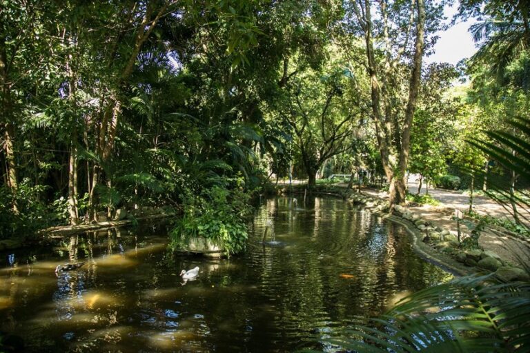 escola de ecologia de São Caetano