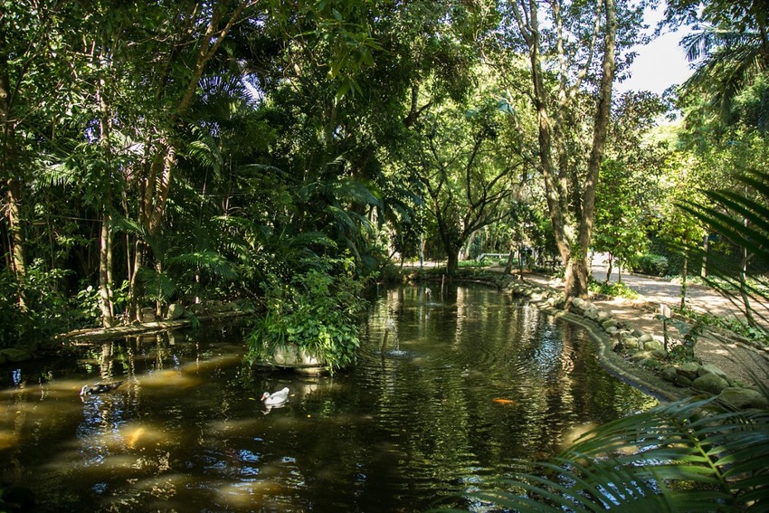 Escola Municipal de Ecologia de S.Caetano terá novas atrações em 2023