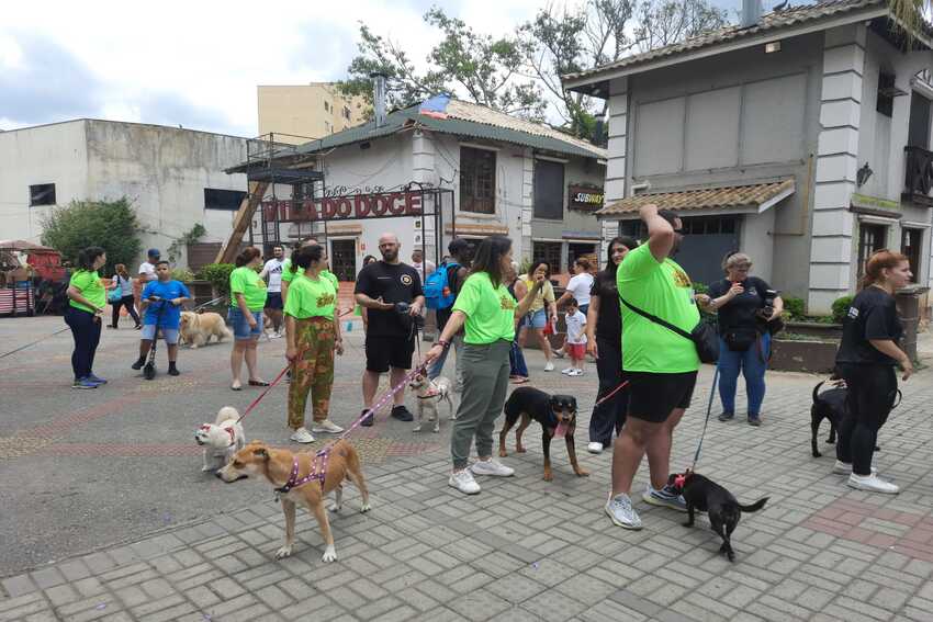 animais no centro de ribeirão pires