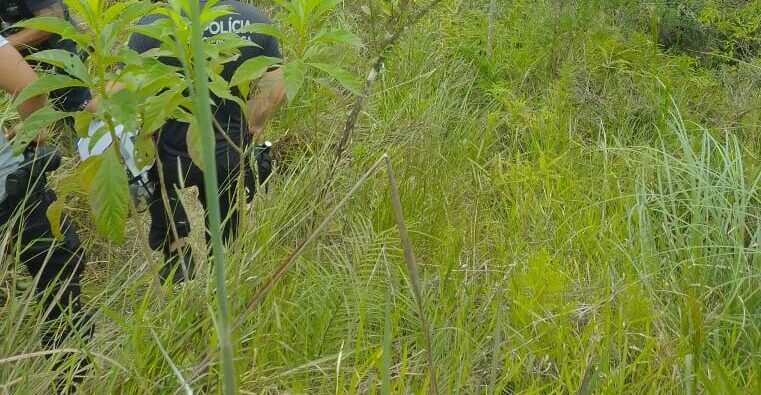 Corpo é localizado em região de mata em Rio Grande da Serra