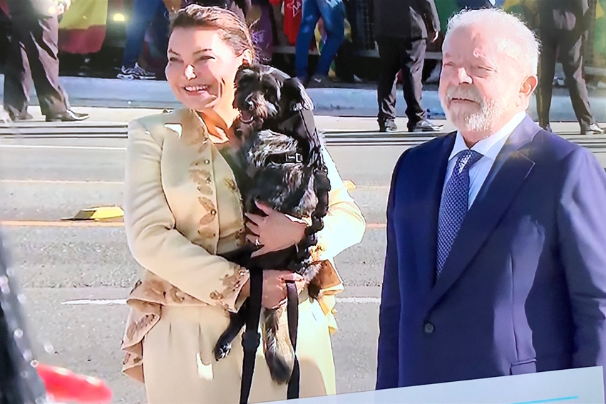 Cachorrinha Resistência