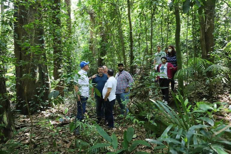 área no serraria