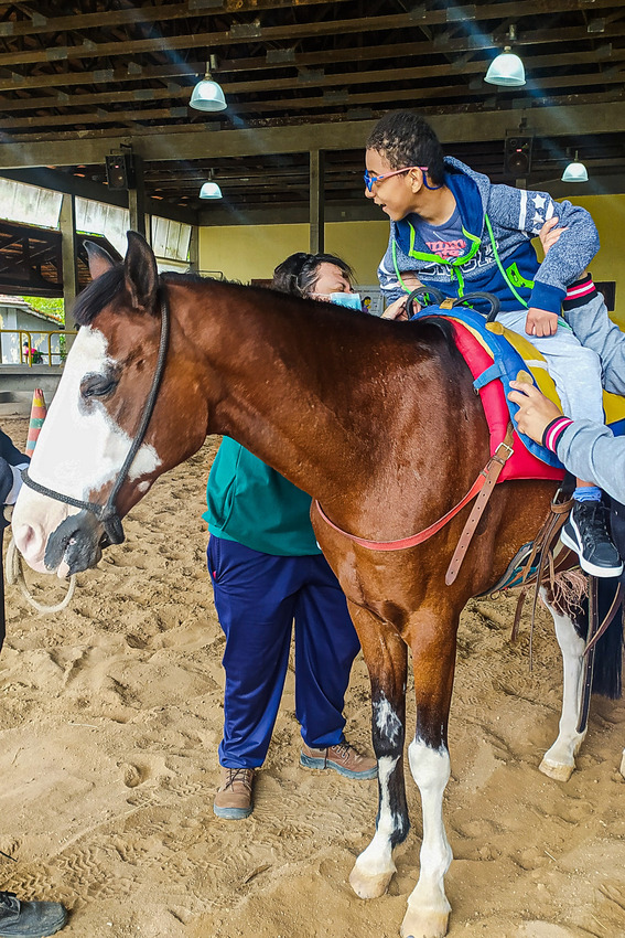 criança em cima do cavalo em centro de equoterapia