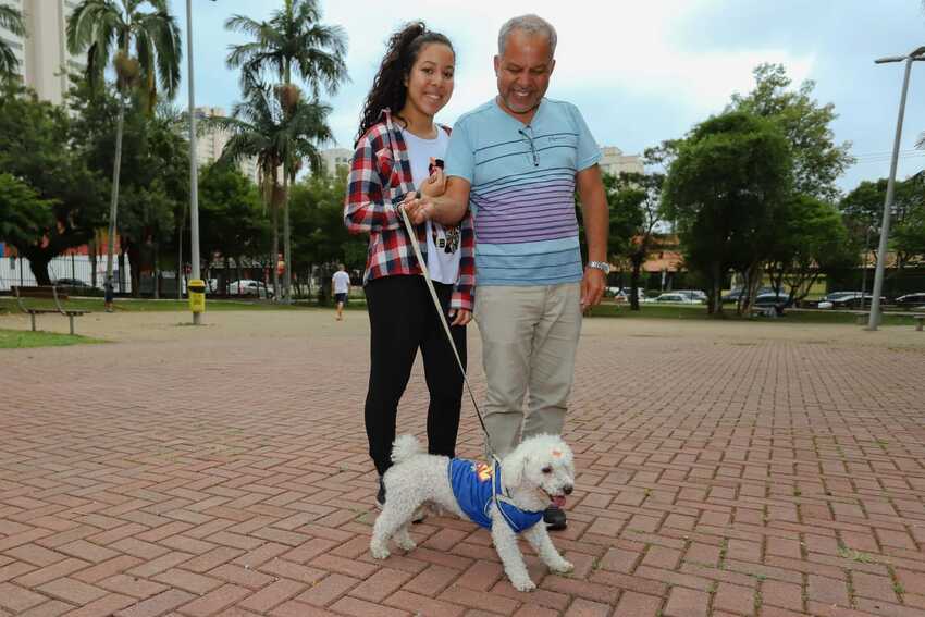 cão com fantasia em Santo André