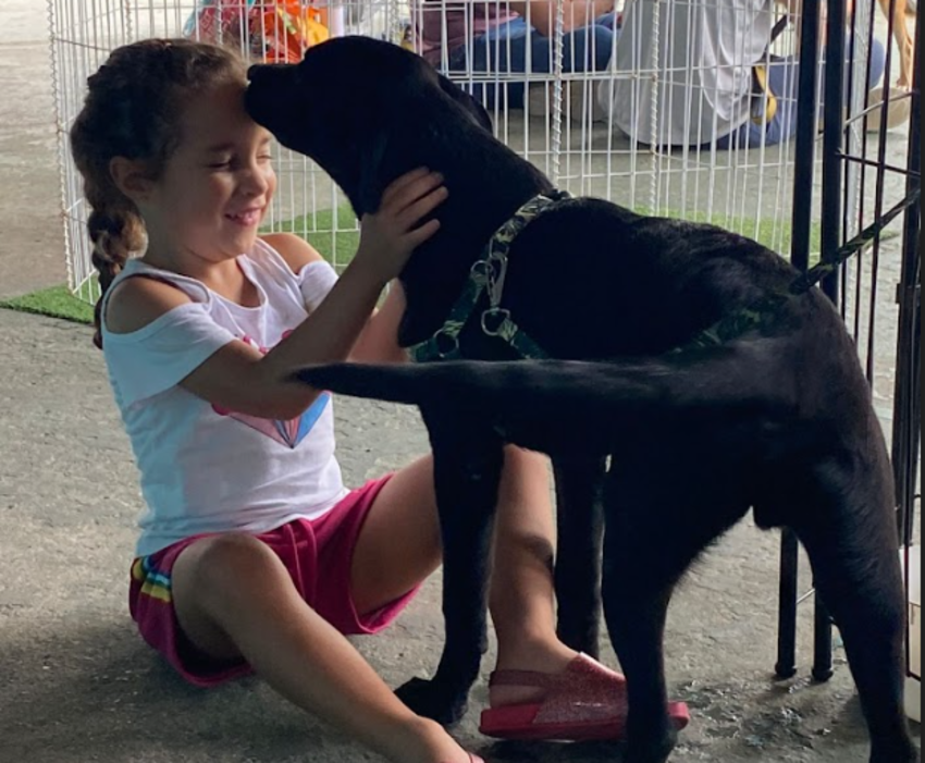 pet dando lambida em uma criança