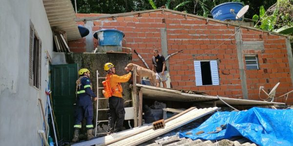 Grupo de Resgate de Animais em Desastres já resgatou 19 cães e gatos no litoral