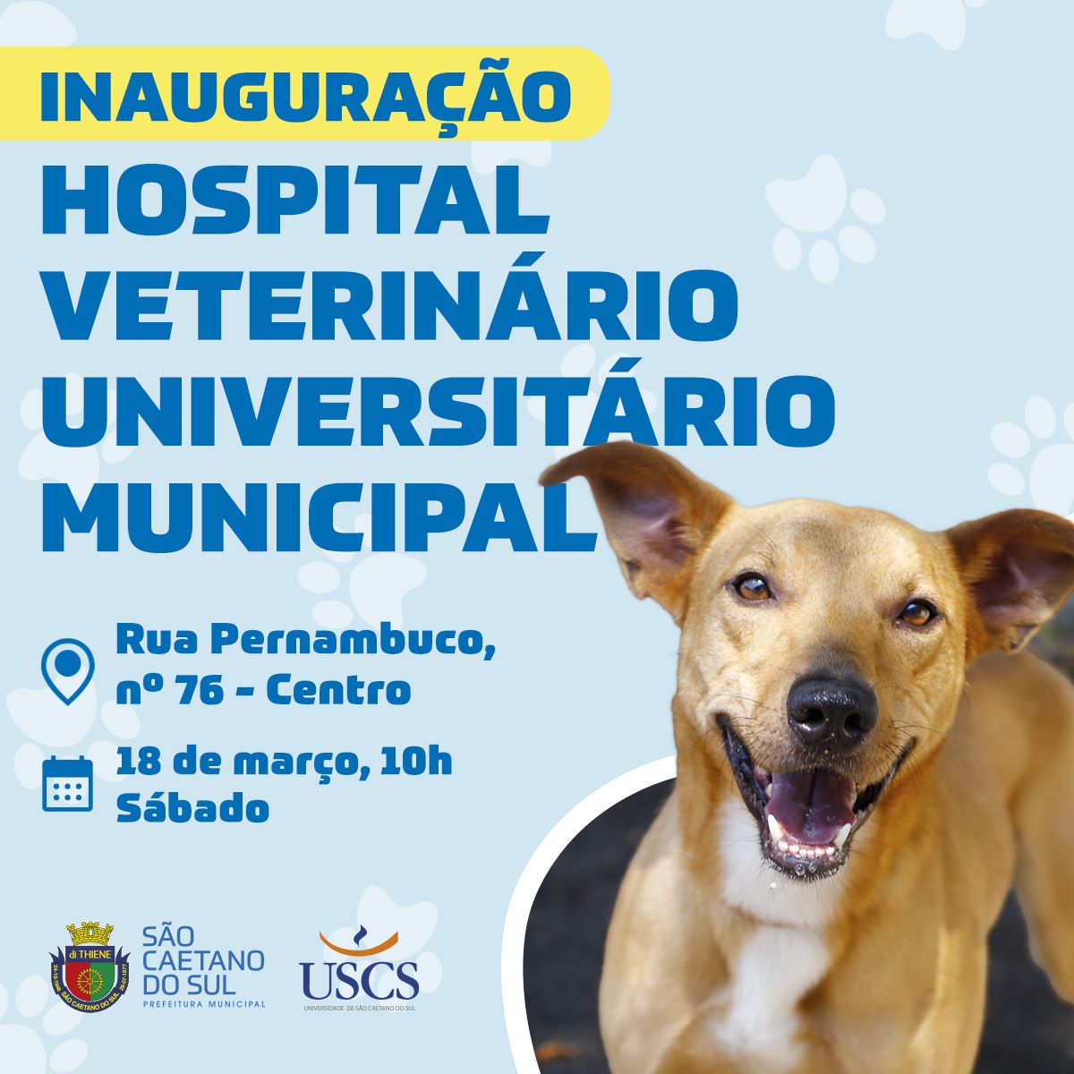 panfleto da inauguração do hospital veterinário