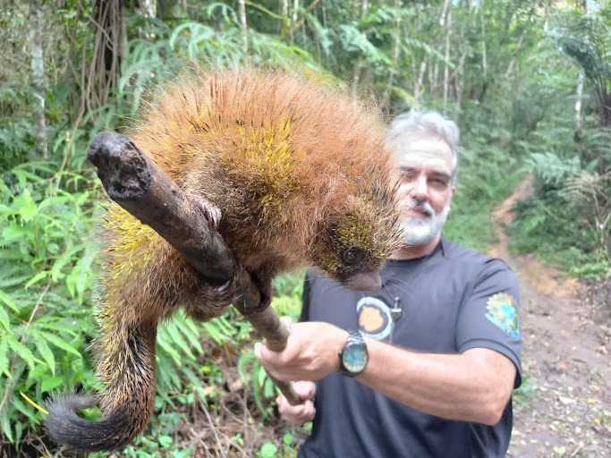 Mais de 4 mil animais resgatados