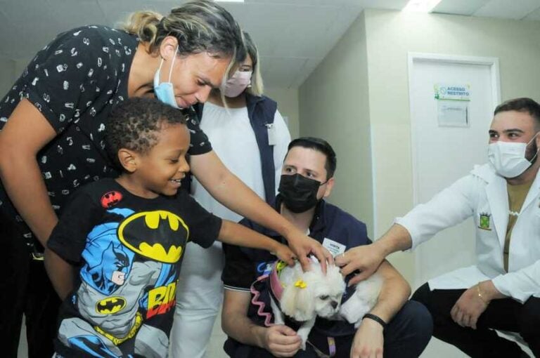 cães no hospital