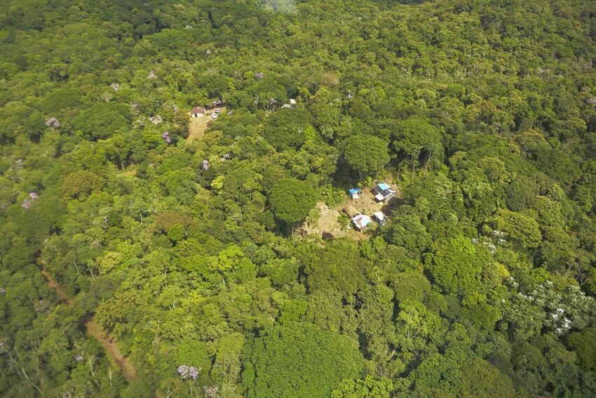 floresta em São Bernardo