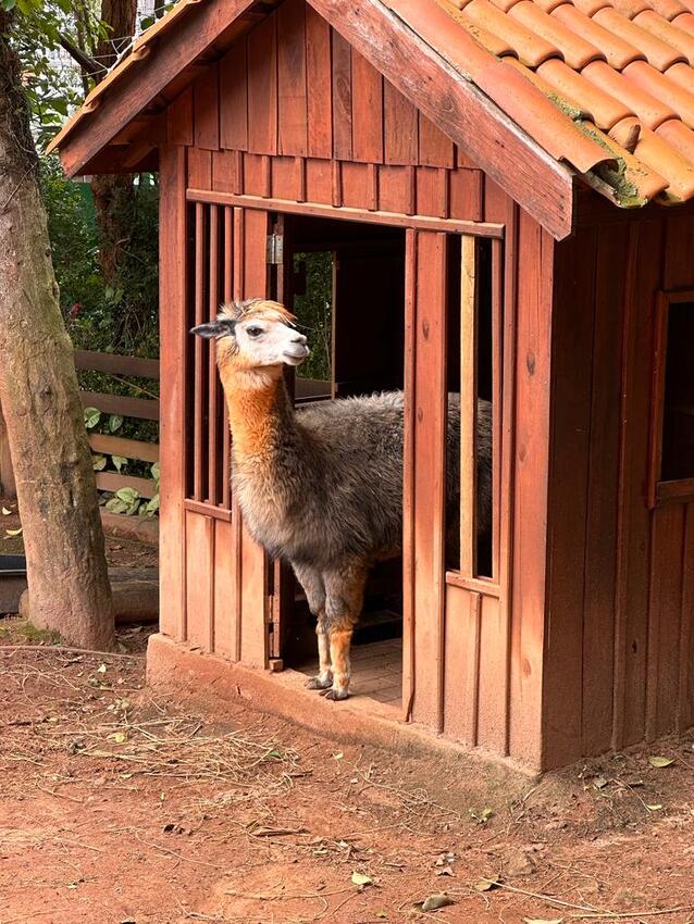 Fazendinha em São Bernardo