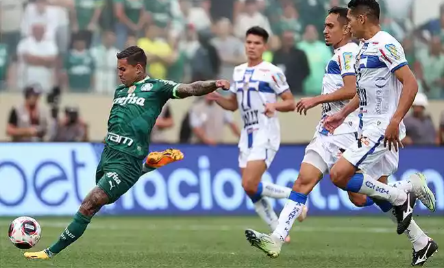 palmeiras e agua santa