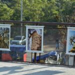 parque de Santo André